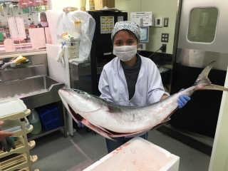 Fish Market