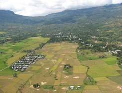 Dili 36